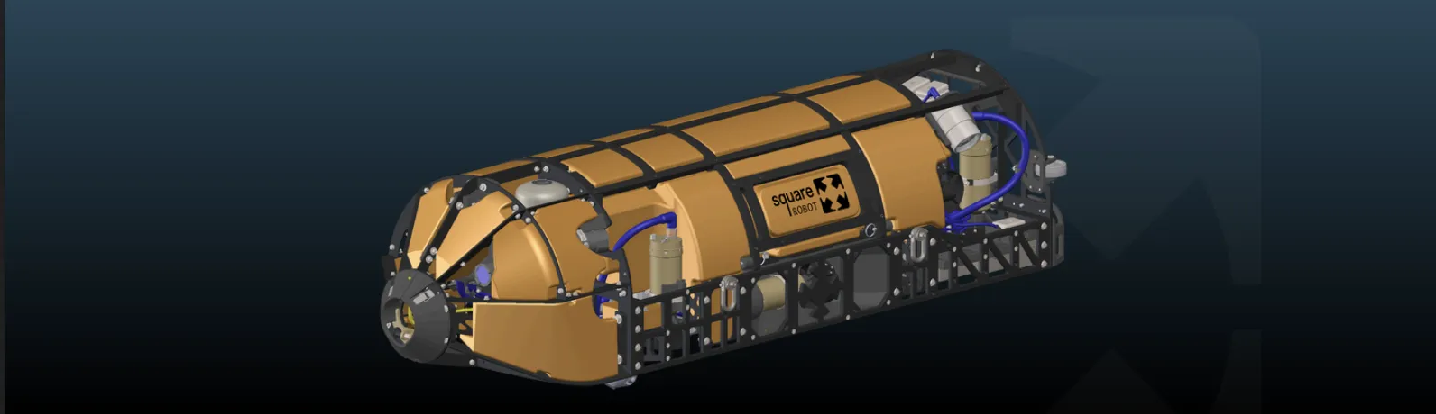 asset_image